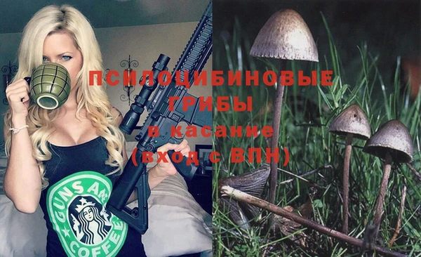 не бодяженный Бикин